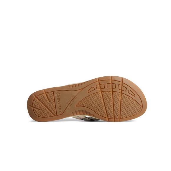 Sperry Blue and Tan Nautical Sandals - Picture 6 of 7